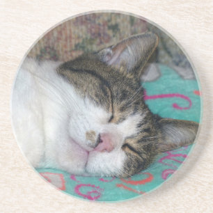Posavasos Dormir