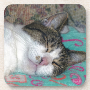 Posavasos Dormir