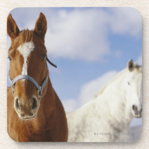 Posavasos Dos caballos