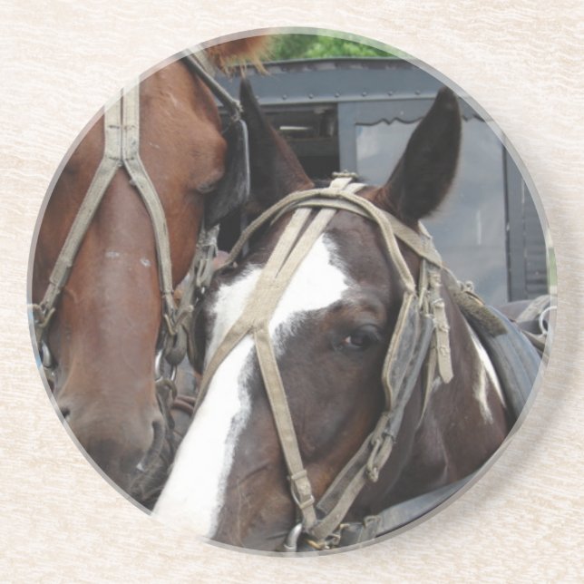 Posavasos Dos Caballos Con Un Pinto (Frente)