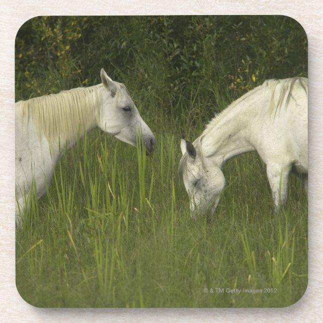 Posavasos Dos caballos que comen la hierba (Frente)