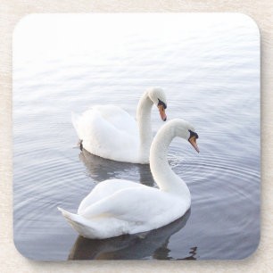 Posavasos Dos cisnes nadando en un lago tranquilo