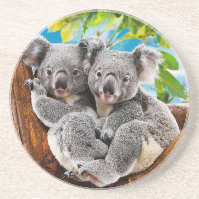 Posavasos Dos Cuidados Koala Bears Coaster (Frente)