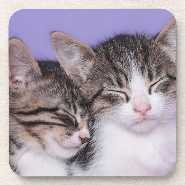 Posavasos Dos gatitos lindos Napping (Frente)