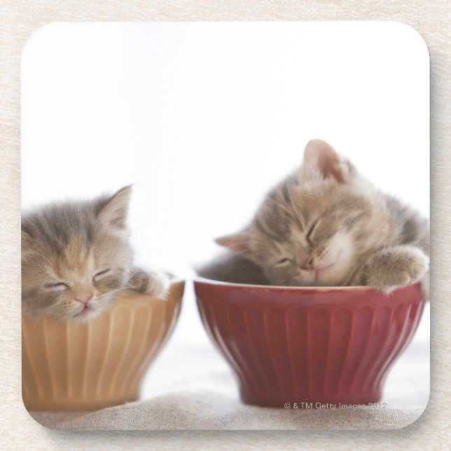 Posavasos Dos gatitos que duermen en cuencos (Frente)