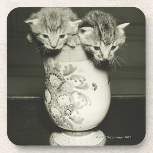 Posavasos Dos gatitos que ocultan en florero, (B&W)
