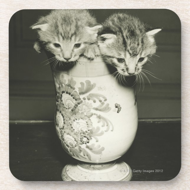 Posavasos Dos gatitos que ocultan en florero, (B&W) (Frente)
