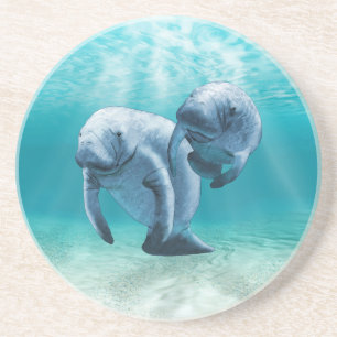 Posavasos Dos Manatees que nadan