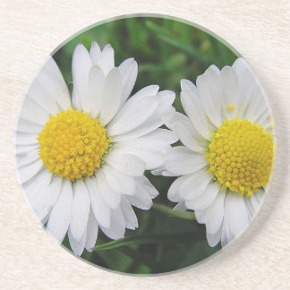 Posavasos Dos tiernos y blancos daisises beben tostadora