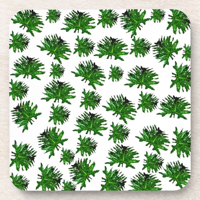 Posavasos Dracaena verde hojas de fern, castores (Frente)