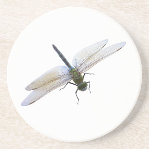 Posavasos Dragón