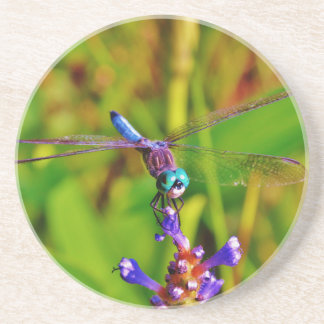 Posavasos Dragón arcoiris verde azulado