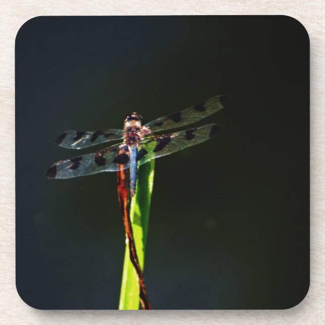 Posavasos Dragonfly azul y negro sobre hierba verde y roja (Frente)