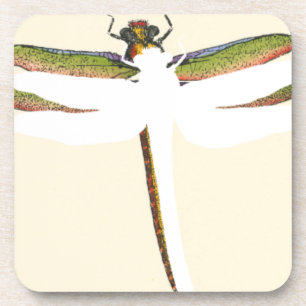 Posavasos Dragonfly en miniatura sobre fondo blanco