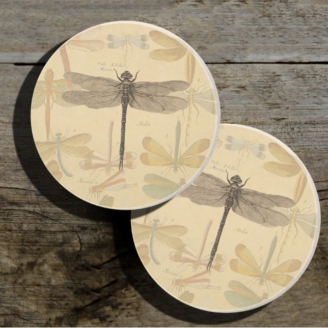 Posavasos Dragonfly Vintage Antiguo Dibujo Clásico (Subido por el creador)