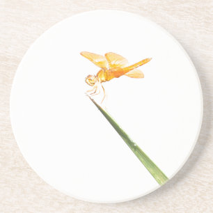 Posavasos Dragonisca mexicana