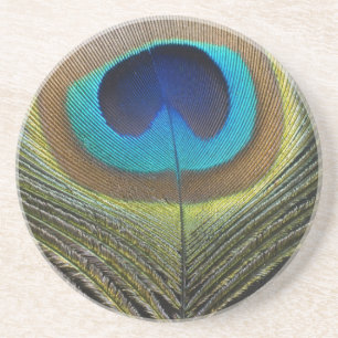 Posavasos Dramática pluma de pavo real