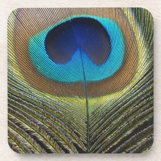 Posavasos Dramática pluma de pavo real (Frente)