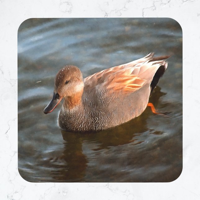 Posavasos Drenaje de pato de Gadwall en la montaña rusa de v (Subido por el creador)