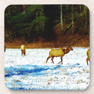 POSAVASOS DSC00131.JPG