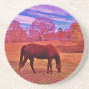 POSAVASOS DSCF0536.JPG