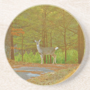 POSAVASOS DSCF4041.JPG