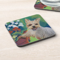Dulzor Yorkie