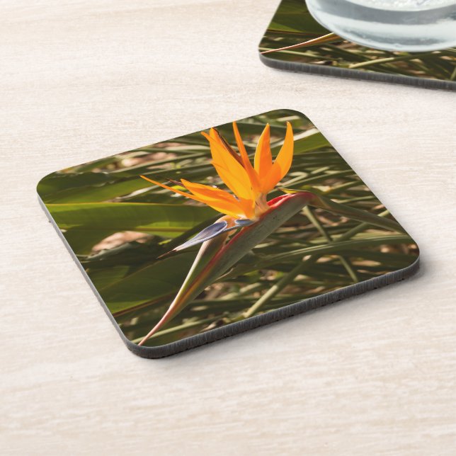 Posavasos "Durable Plastic Coaster set Bird of Paradise (Lado Izquierdo)