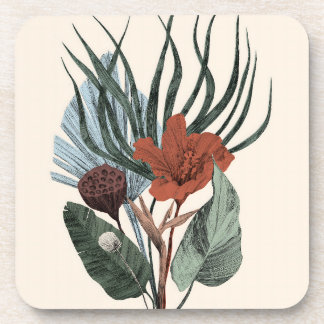 Posavasos Duros Ataques Plásticos Elegantes Botánicos Vintag