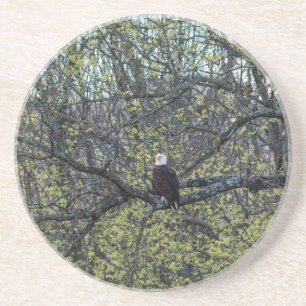 Posavasos Eagle Awareness