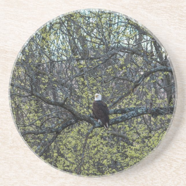 Posavasos Eagle Awareness (Frente)