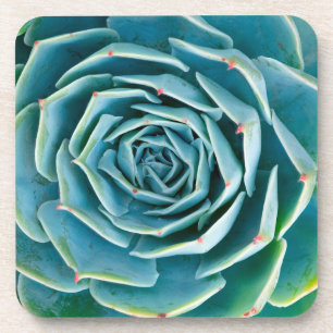 Posavasos Echeveria Roseta, Jardín Secreto de Marrakech