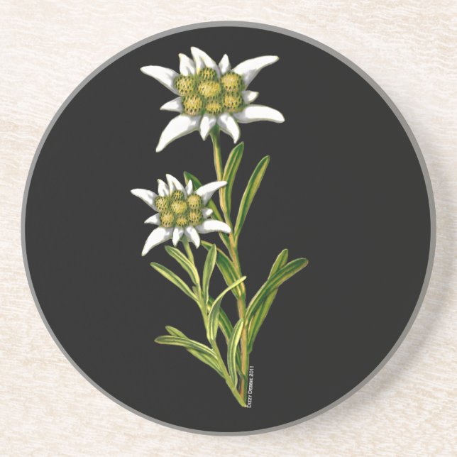 Posavasos Edelweiss Floral Coaster (Frente)