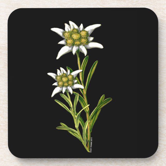 Posavasos Edelweiss Floral Coaster (Frente)