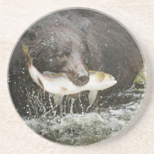 Posavasos EE. UU., Alaska, Anan Creek. Primer plano de oso n