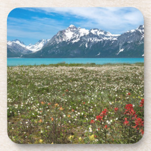 Posavasos EE. UU., Alaska, Parque Nacional Glacier Bay 2