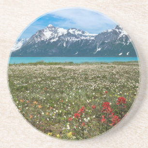 Posavasos EE. UU., Alaska, Parque Nacional Glacier Bay 2