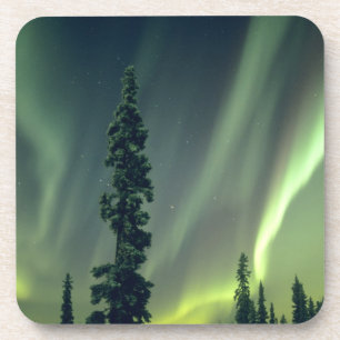Posavasos EE. UU., área de Fairbanks, Alaska central, Aurora