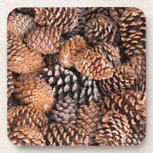 Posavasos EE. UU., California, Bosque Nacional Inyo