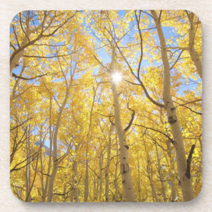 Posavasos EE. UU., California, Montañas de Sierra Nevada. Ot