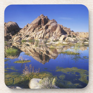 Posavasos EE. UU., California, Parque Nacional Joshua Tree,