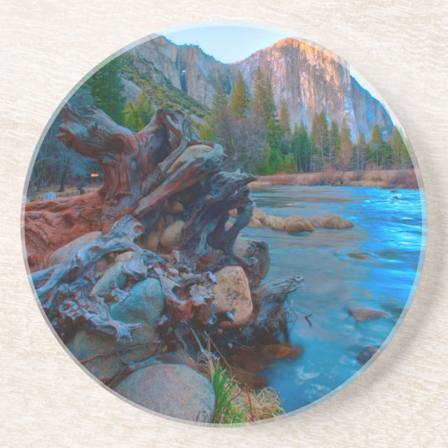 Posavasos EE.UU., California. Raíces de árbol en río Merced (Frente)