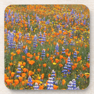 Posavasos EE. UU., California, Santa Margarita, Avenales