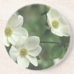 Posavasos EE.UU., California, Yosemite NP, a lo largo de Mer