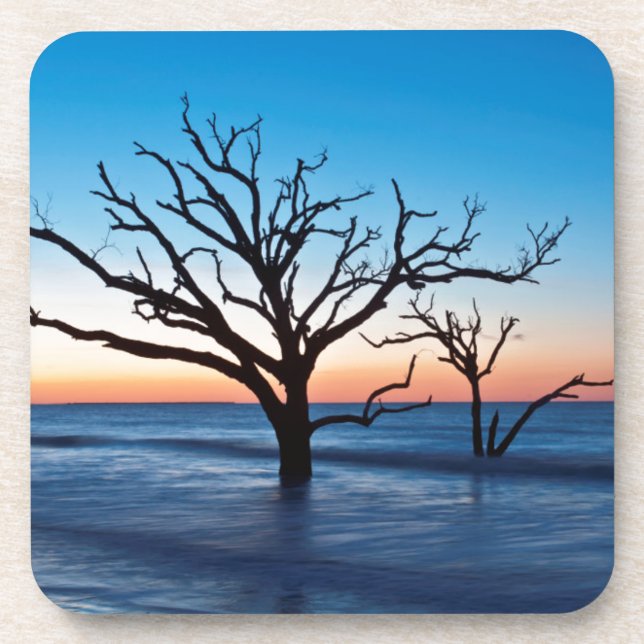 Posavasos EE.UU., Carolina del Sur, Isla Edisto, Botany Bay (Frente)