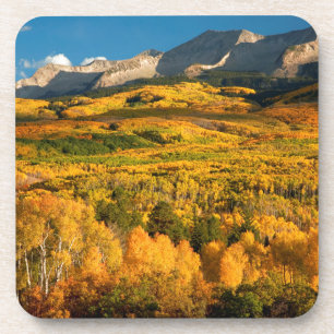 Posavasos EE. UU., Colorado, Bosque Nacional Gunnison