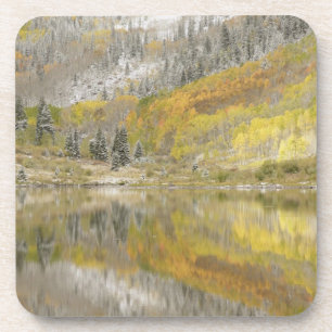Posavasos EE. UU., Colorado, Bosque Nacional White River, 2