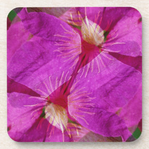 Posavasos EE. UU., Colorado, Boulder. Montaje de flores de c