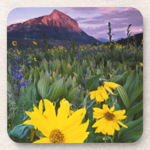 Posavasos EE. UU., Colorado, Mt. Crested Butte