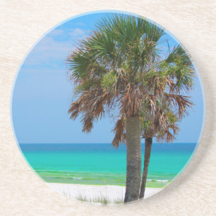 Posavasos EE. UU., Florida. Palmeras en la Costa Esmeralda